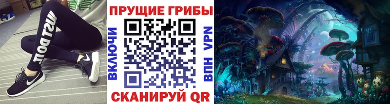 Псилоцибиновые грибы MAGIC MUSHROOMS  продажа наркотиков  Нерчинск 
